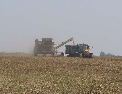 Combining at Repps, August, 2004