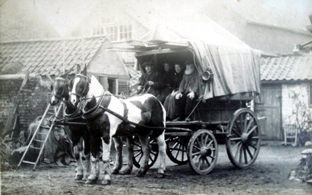 Carrier's Cart