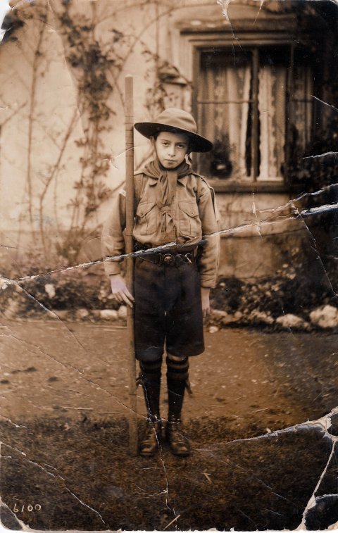 Alfred as Scout