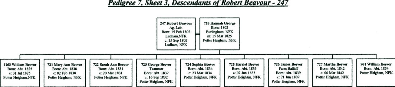 sheet3
