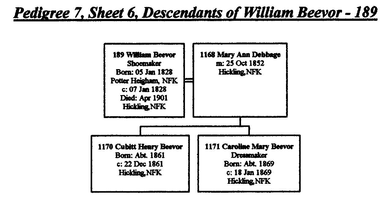 sheet6
