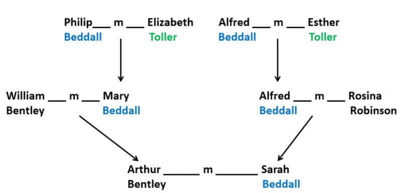 family tree