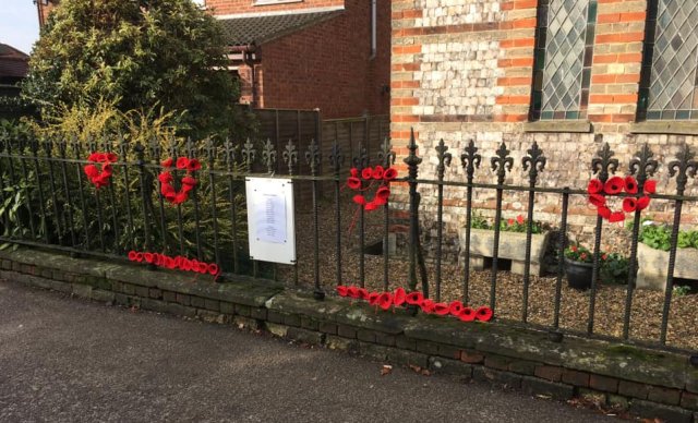 methodist poppies