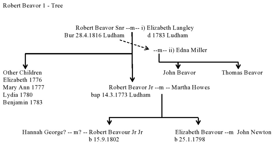 Robert 1
                tree