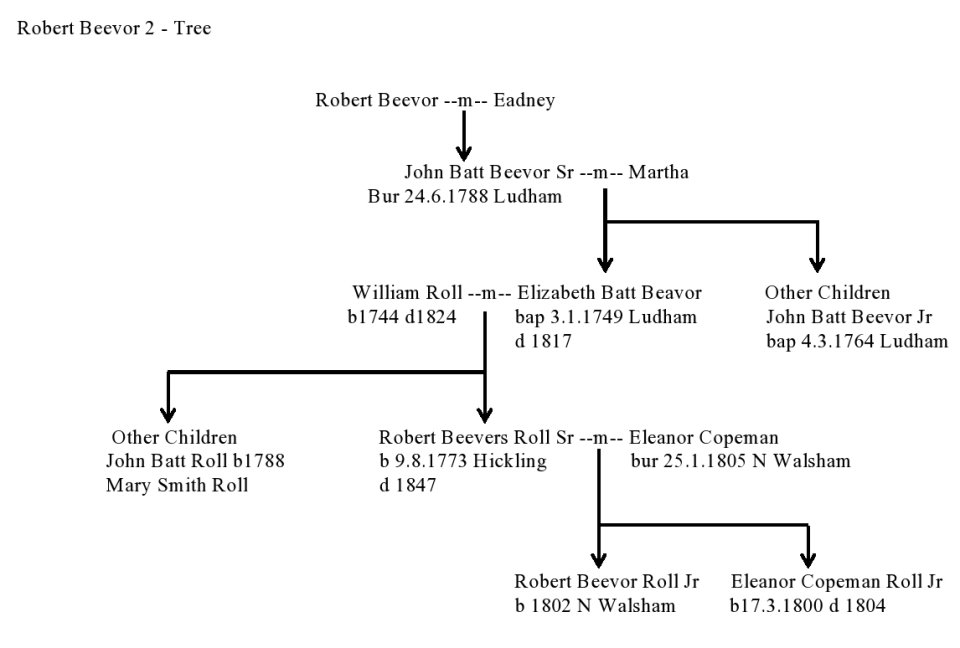 Robert 2
                tree
