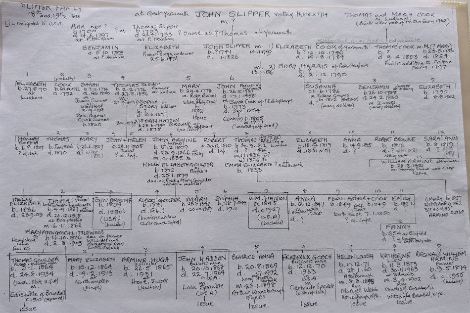 family
              tree