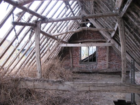 bare roof