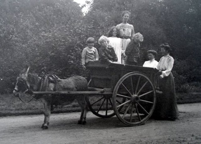 cart ride