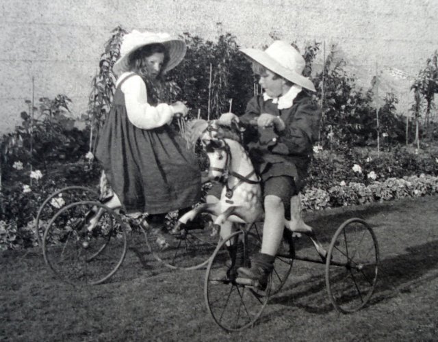 horse trikes
