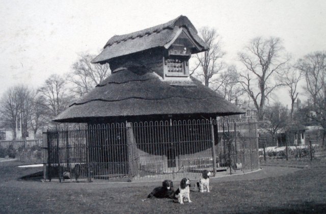 dog kennel