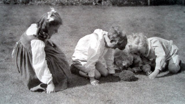 the children find a
hedgehog