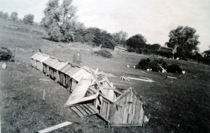 Hurricane damage