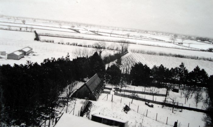 Farm view