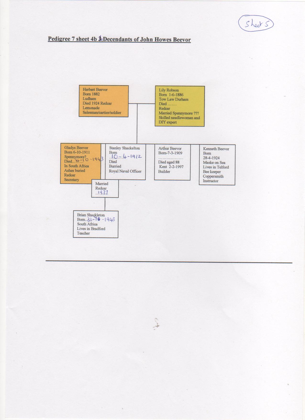 sheet6