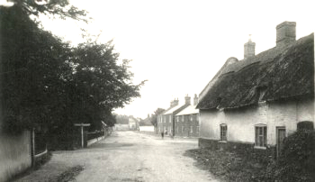 the
                street