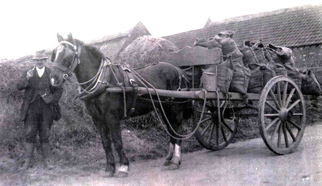 coal merchant