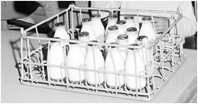 school
                        milk