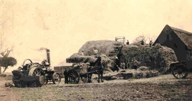 steam threshing