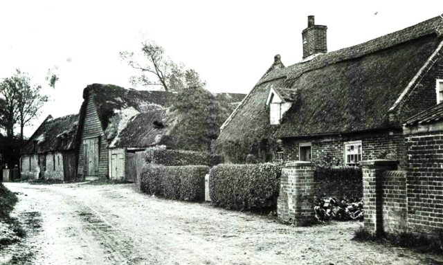 Farm