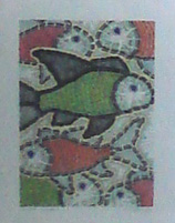 Picture of Fish
