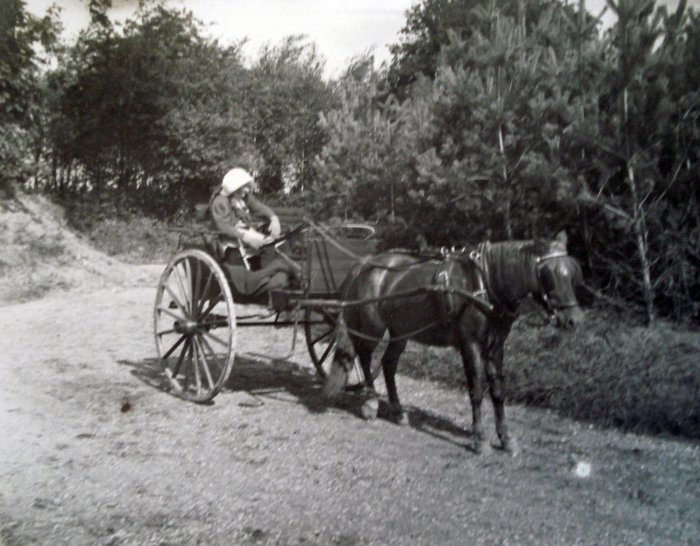 horse and cart