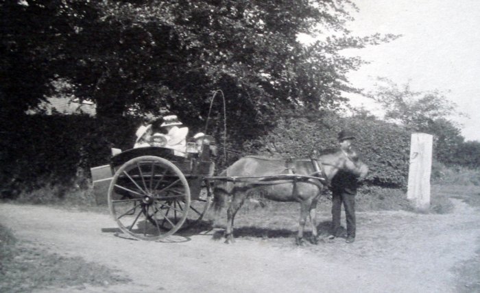 Horse and trap
