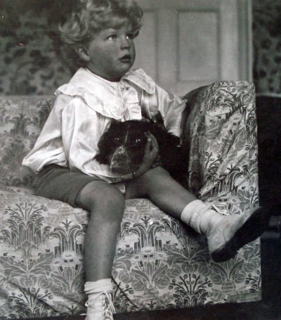 with
                            dog