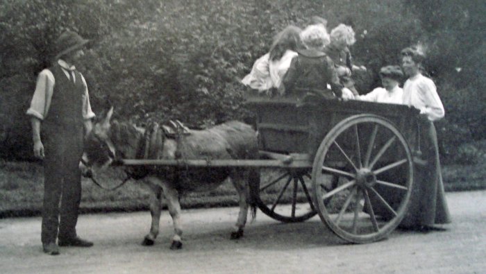 donkey cart