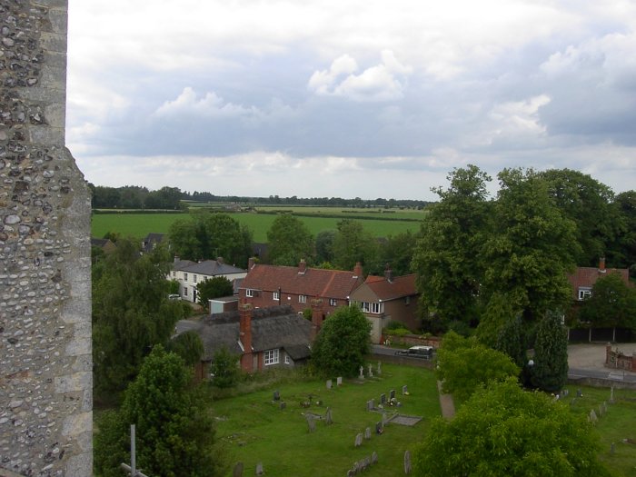 view
