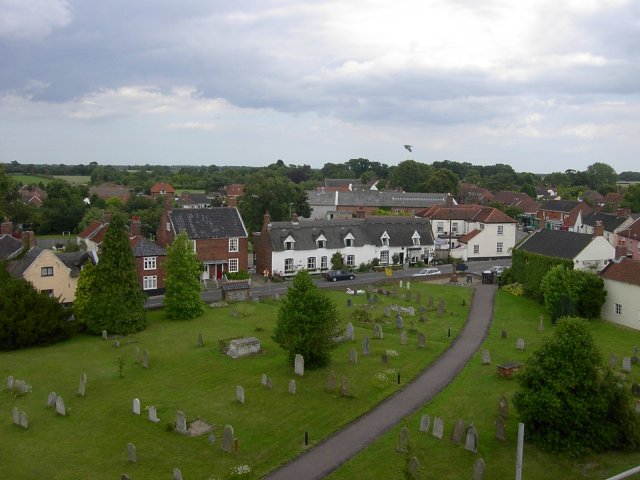 the view