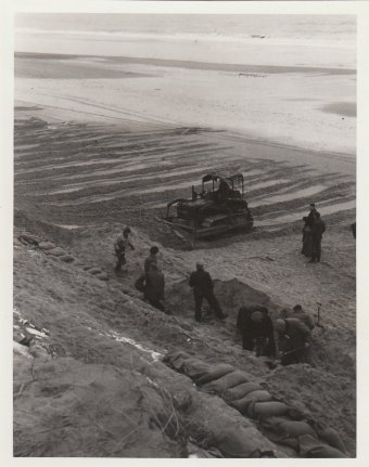 dunes