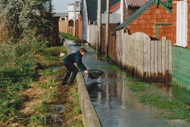 catching fish on path