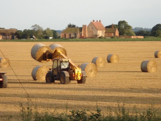 round
bales