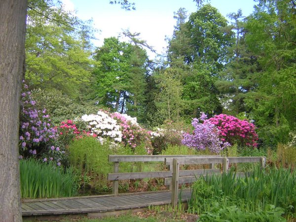 water gardens