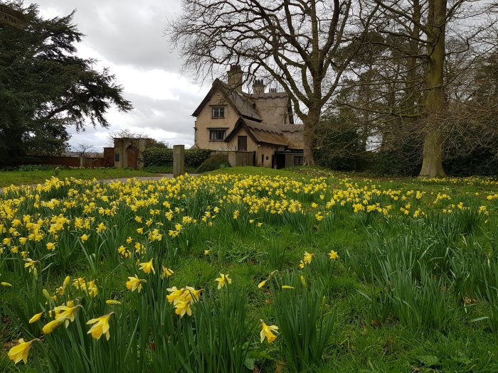 How Hill daffs