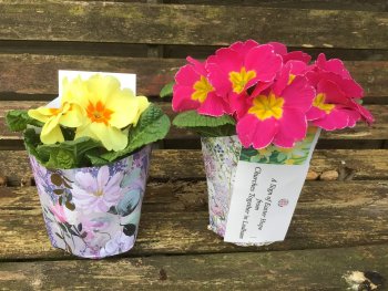easter
                                flowers