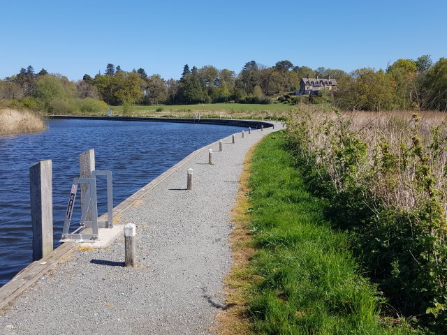 No Boats