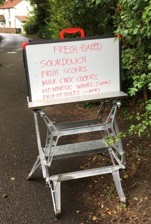 new
                              business