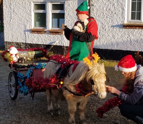 ponies help Santa