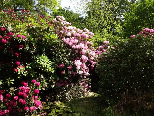 secret garden