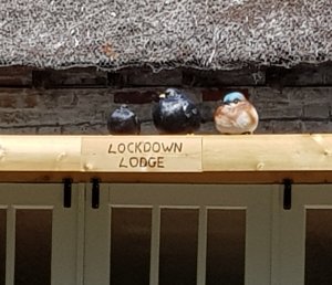 Lockdown
                                Lodge