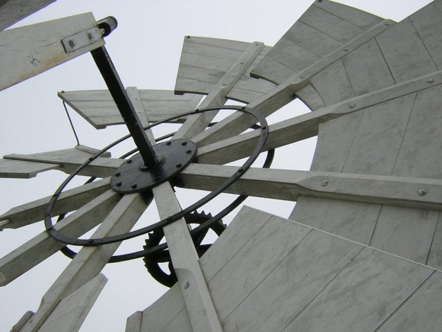 fan tail