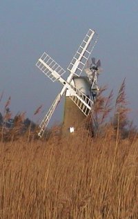 Turf Fen