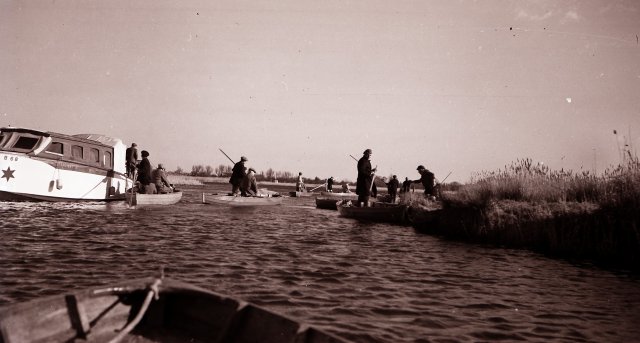 mystery boats