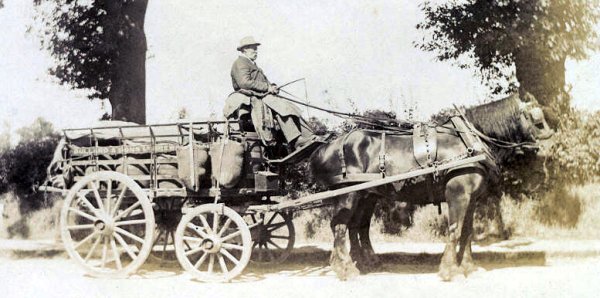 brewery dray