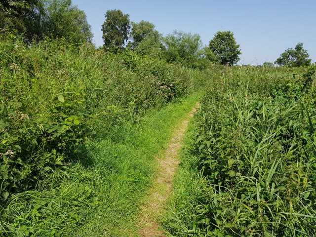 path