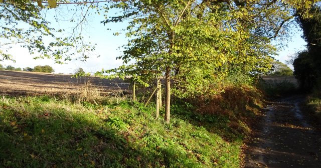 entrance to track